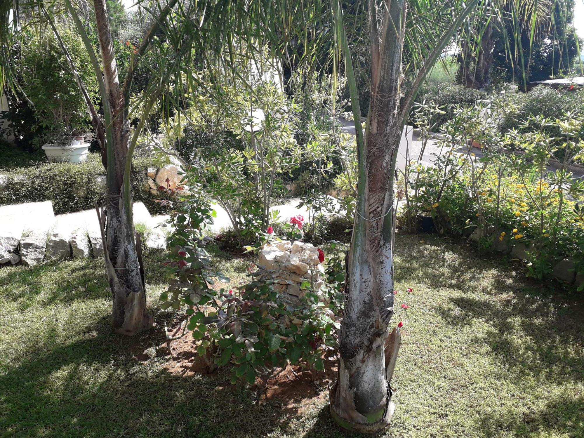 L'Oasi Di Athena Villa Ragusa Dış mekan fotoğraf